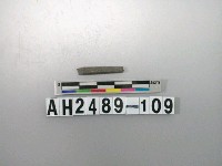 藏品(磨製石針)的圖片